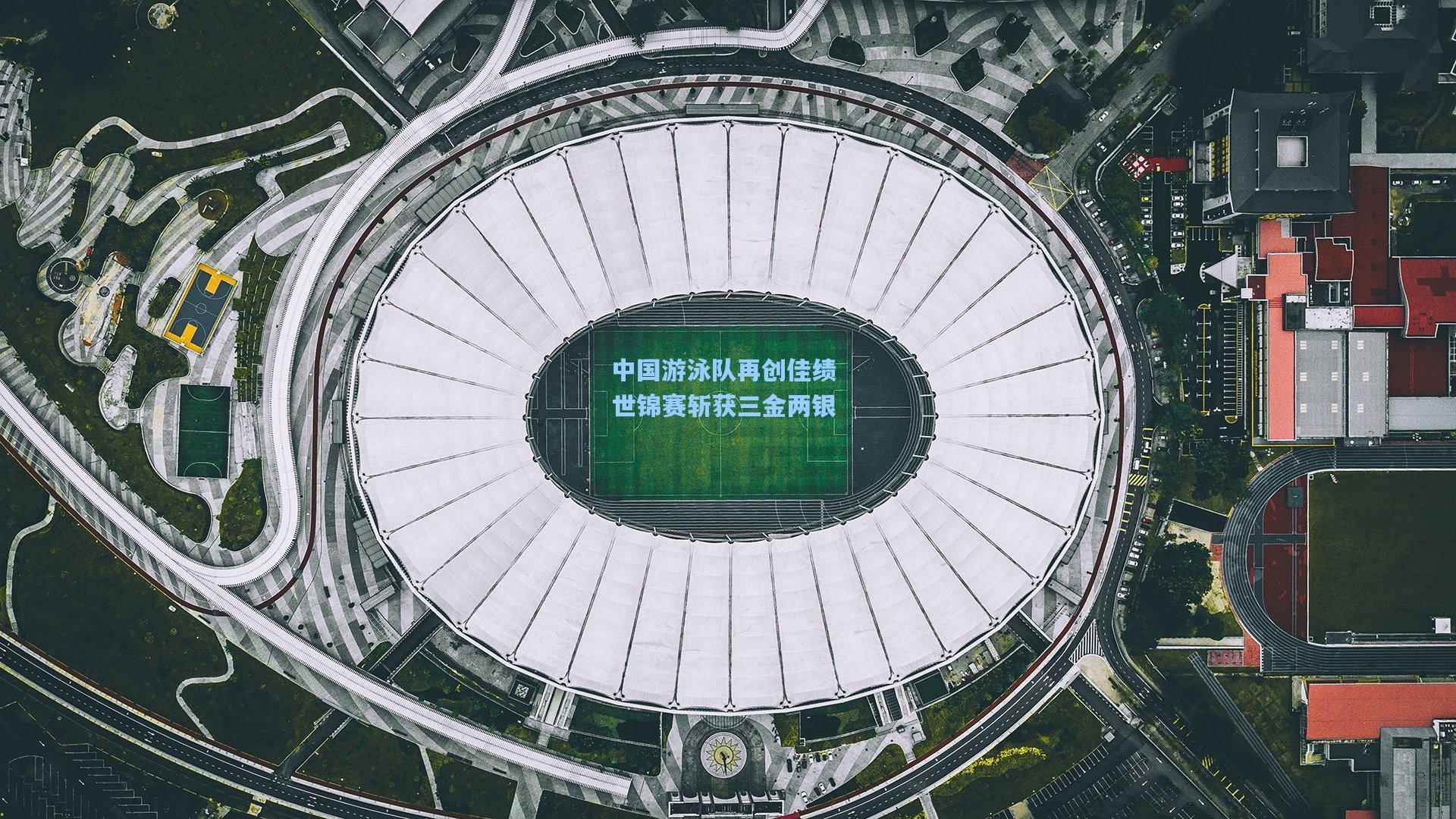 中国游泳队再创佳绩 世锦赛斩获三金两银