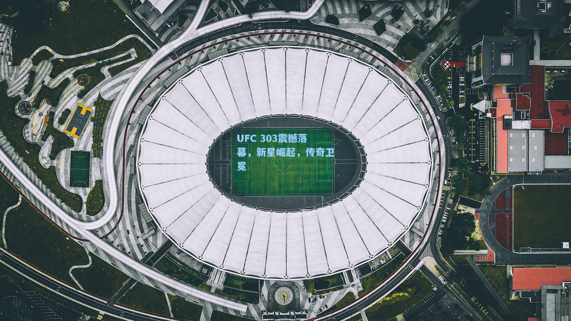 UFC 303震撼落幕，新星崛起，传奇卫冕