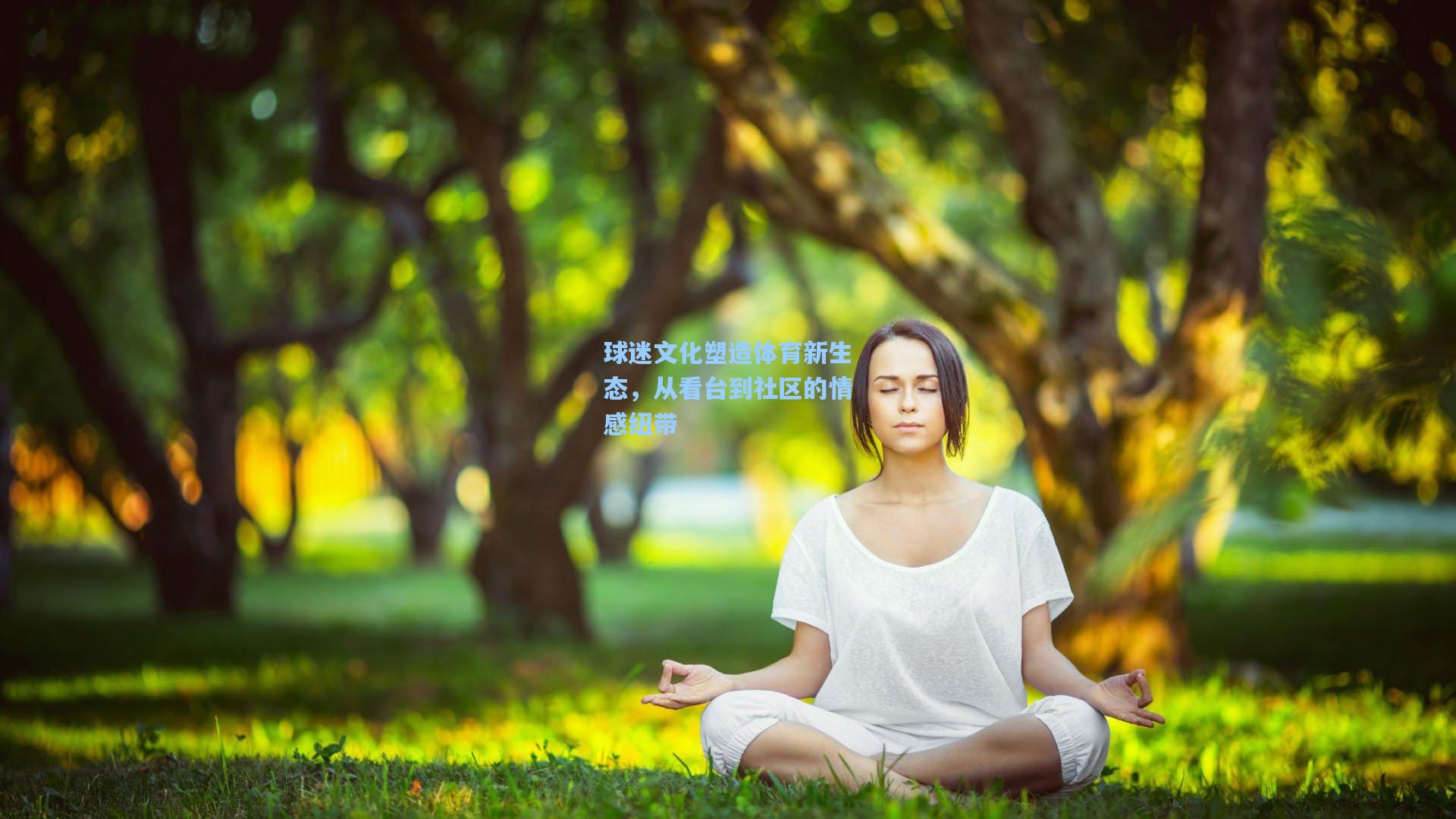 球迷文化塑造体育新生态，从看台到社区的情感纽带